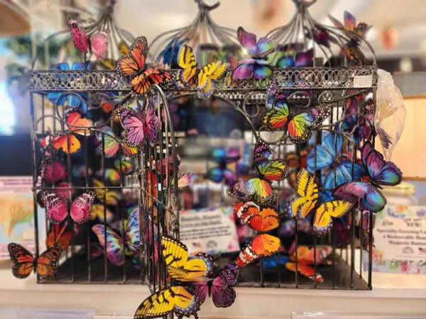 The LOL Studio, a local artisan shop in Charleston, SC
