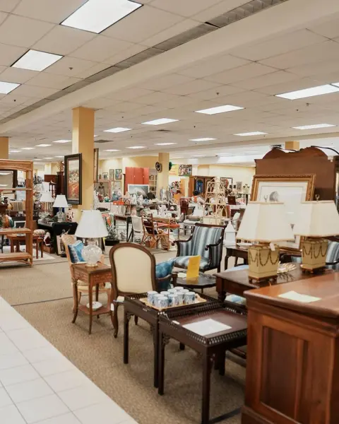 Metro Lion, a thrift store in Charlotte, NC